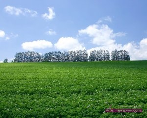 almstba.com_1356535011_580