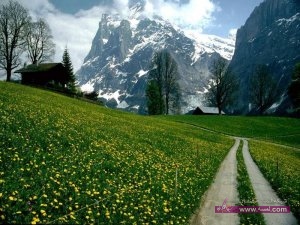 almstba.com_1356535060_697