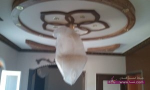 10995642_876530542370297_7351709045516755795_n