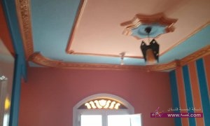 11084293_876530149037003_8769522344148849571_n