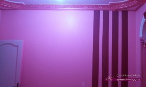 11110286_876530665703618_6903828626288428155_n