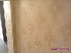 11110401_889088927781125_4971389946897736457_n