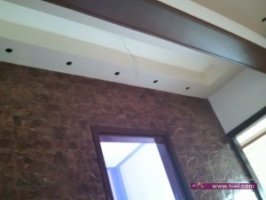 11182047_889090034447681_782239610752819382_n