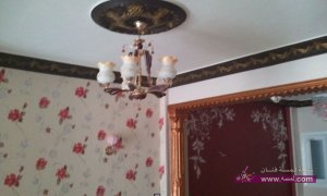 11412347_908714265818591_6789264653132152696_n