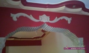 11425085_906945152662169_774727906668135870_n