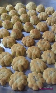 11659274_489149567916514_3991053956722231356_n