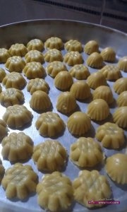 11698510_489149481249856_3227151248156477414_n