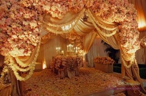 50b05b49071067fe77388cbcdf4a27c3