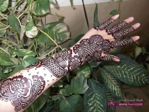 Stylish-Colorful-Eid-Ul-Fitr-Mehndi-Design-2014-for-Girls-17