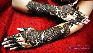 Stylish-Colorful-Eid-Ul-Fitr-Mehndi-Design-2014-for-Girls-6