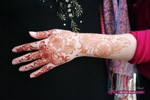 Top-Indian-Mehndi-Design-Images-2013-2014-8