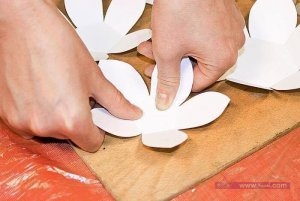 11261973_1662597480639624_4450007737446285803_n