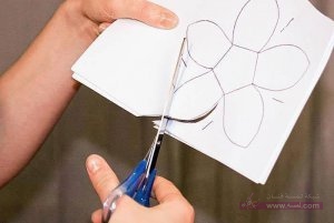 11351310_1662597523972953_4013136275708229843_n