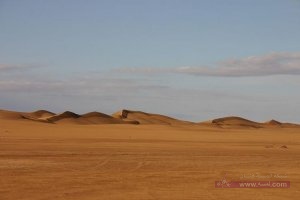 4f7a219ffc6846c932d39259d15a9b7c