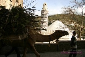 59638a026a8a704ac0de4c7f9b61e56a