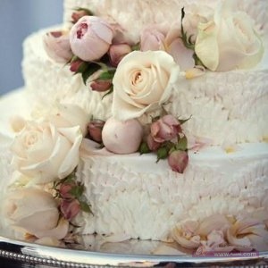 7hob.com1363543260353