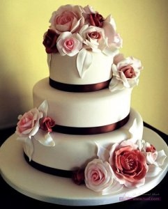 7hob.com1363543260458