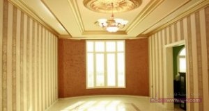 114263.imgcache-310x165