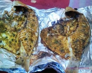 12376261_1740515812842936_329815910978183312_n