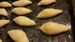 12640275_1024152724317273_6441997780308672925_o