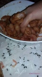 1618656_514127915426241_3617581761057706249_n