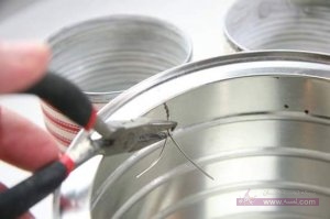 535273_449627008564816_6207979837853572344_n