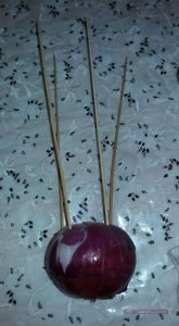 580366_514127848759581_6383445149753897338_n