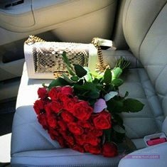 12717626_10155842666173647_7711504972135259496_n