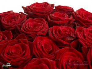 459d8d628d84da380bf8d01c6a25948d