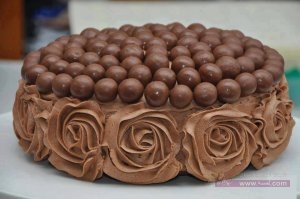 1450076_428422690617355_514194815_n