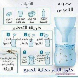 1555445_1500968556822053_6299685269658399064_n