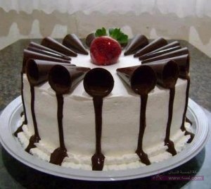 394565_332268180232807_341021636_n