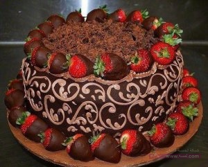 936163_332268103566148_498714616_n