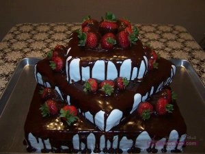 945883_332268090232816_648564747_n