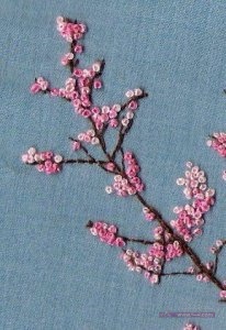 984060_211967399161479_2206506781184577463_n