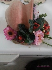 11665396_242270666115436_2683288918138027626_n