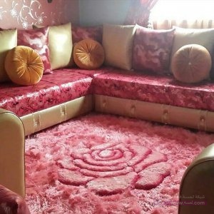 12963387_258496554497234_2487204482776743089_n