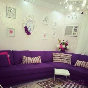 12993558_258496597830563_8745698458863053644_n