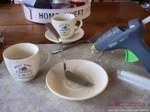 13023478_1145148922182569_1037641820_n