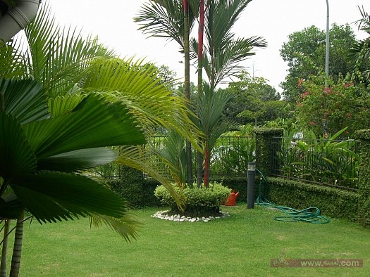 image.php