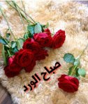 صور مكتوب عليها صباح الورد صور مكتوب عليها صباح الورد
