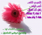 بطاقات الشفاء العاجل بطاقات الشفاء العاجل