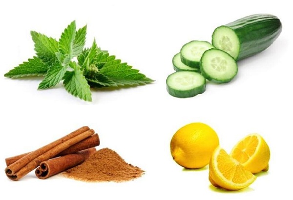 التخلص من النمل في المنزل طريقة التخلص من النمل في المنزل التخلص من النمل في المنزل