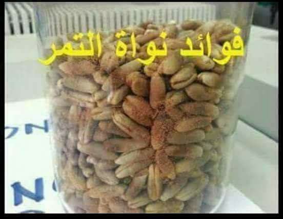 معلومة رائعه فوائد نواة التمر 32677426 377025516125572 7921010228970127360 n معلومة رائعه فوائد نواة التمر