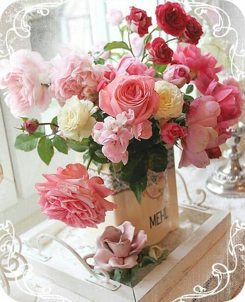 صور ورد روعه جدا 42201381 1438576089578378 4068732728361615360 n صور ورد روعه جدا