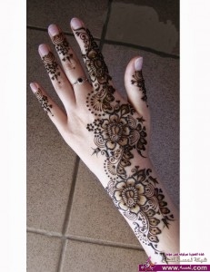 221375_503646993008830_1288874265_o-231x300