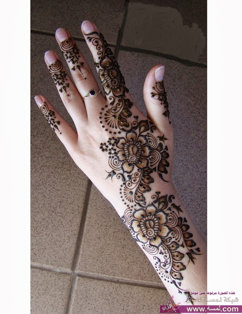 221375_503646993008830_1288874265_o