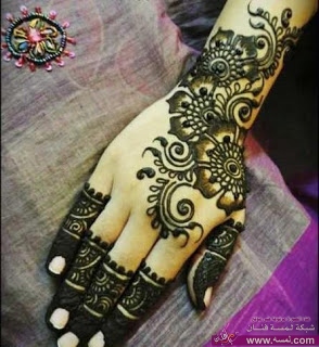 225114_426868690683176_144168523_n