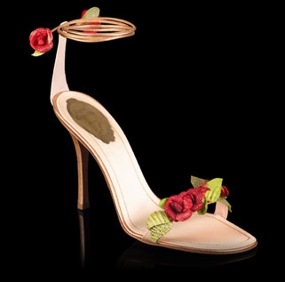 2257b58a2da9812a12e920918602113a