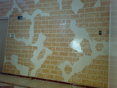 grey دهانات وورق جدران وطلاء روعه لعشاق الرومانسية بلمسات خيالية 2014